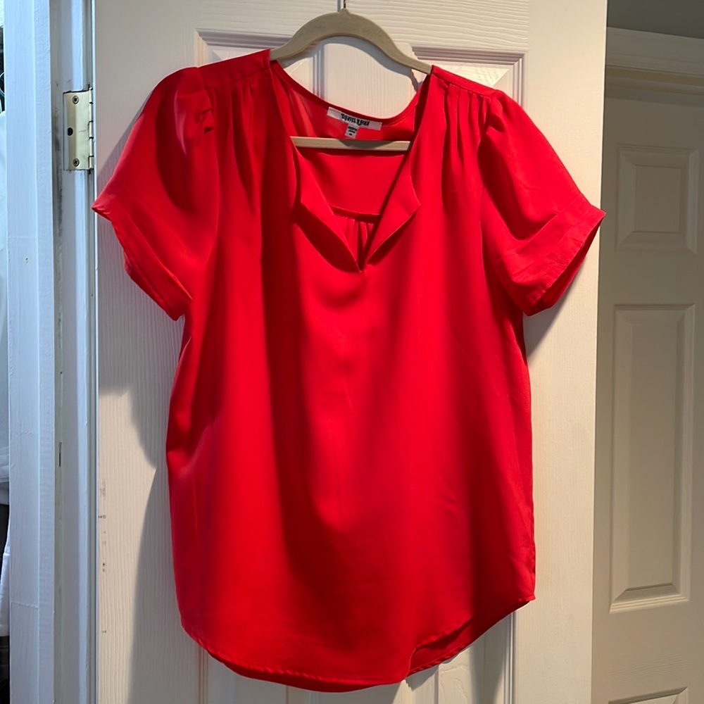 Red Blouse by Daniel Rainn size med